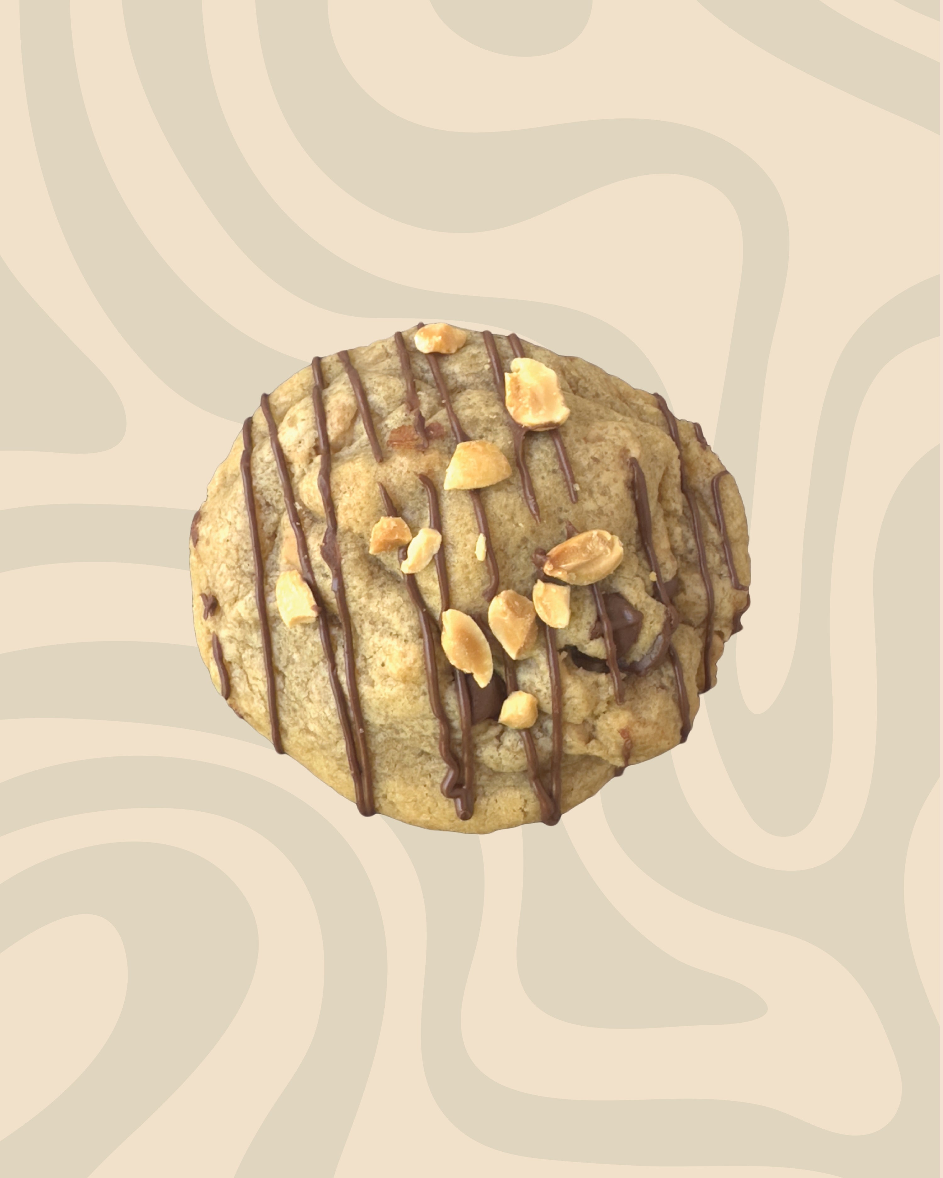 PB Chocolate Cookies (6-pack)